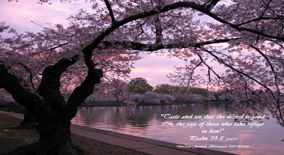 taste-and-see-that-the-lord-is-good-ps-34-8